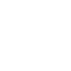 Hightop